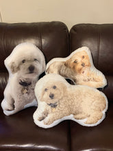 Custom Pet Pillow Personalized Pet Pillow Custom shaped pillow Worldwide Free Shipping!